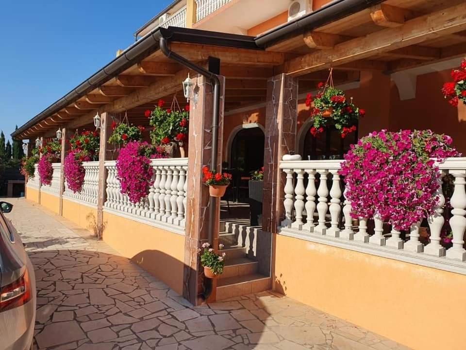 Villa Nikolina Медулин Екстер'єр фото